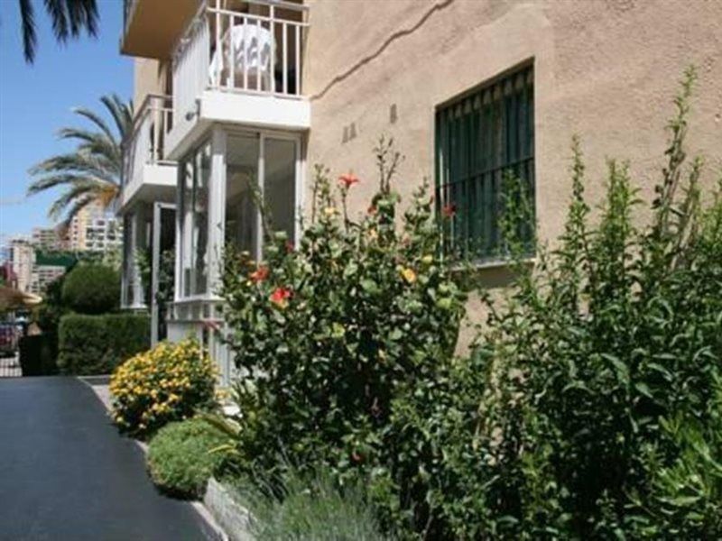 Apartamentos Palm Court Benidorm Exterior foto
